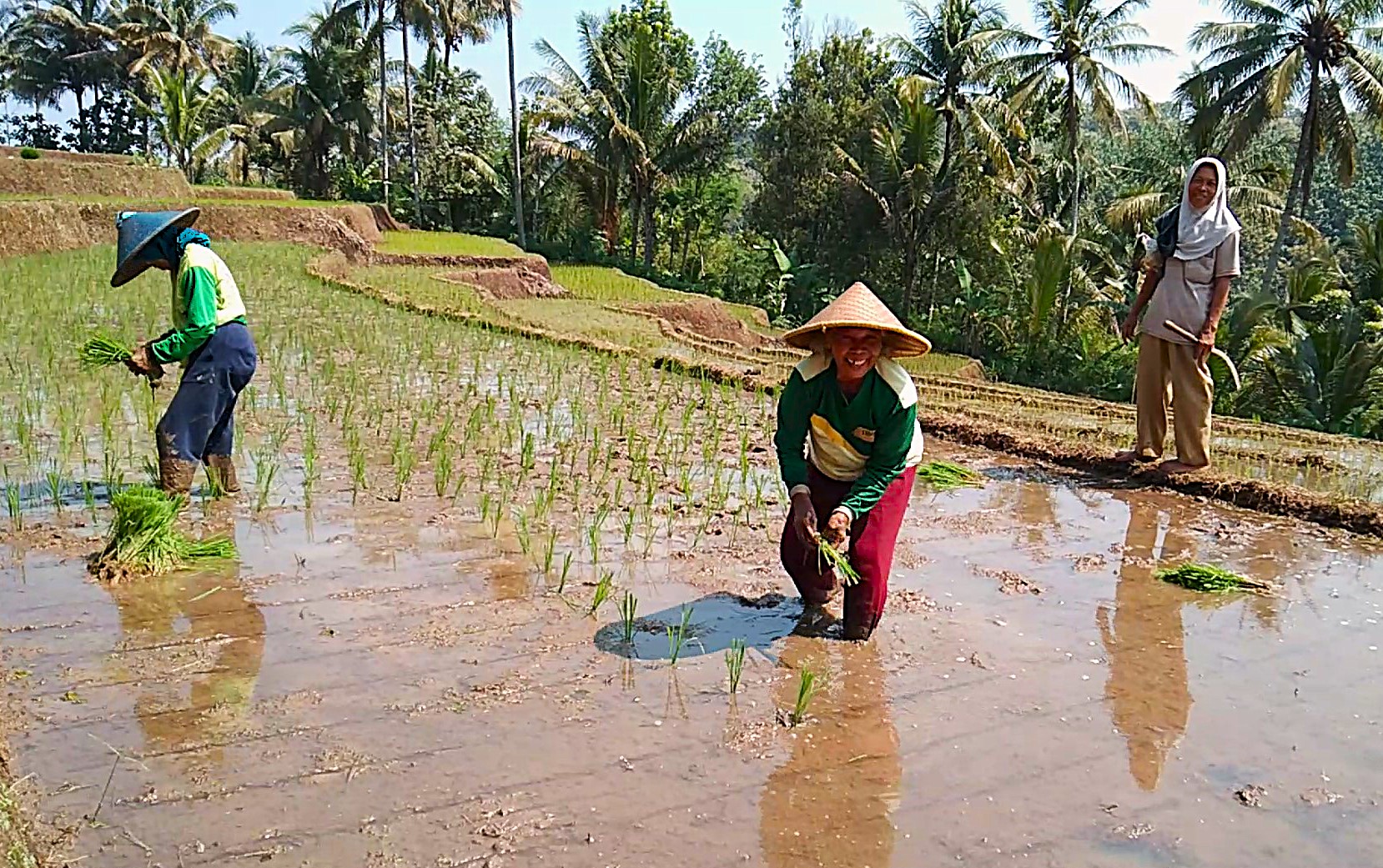 Blitar: The Art of Slowing Down Between Yogyakarta and Bromo