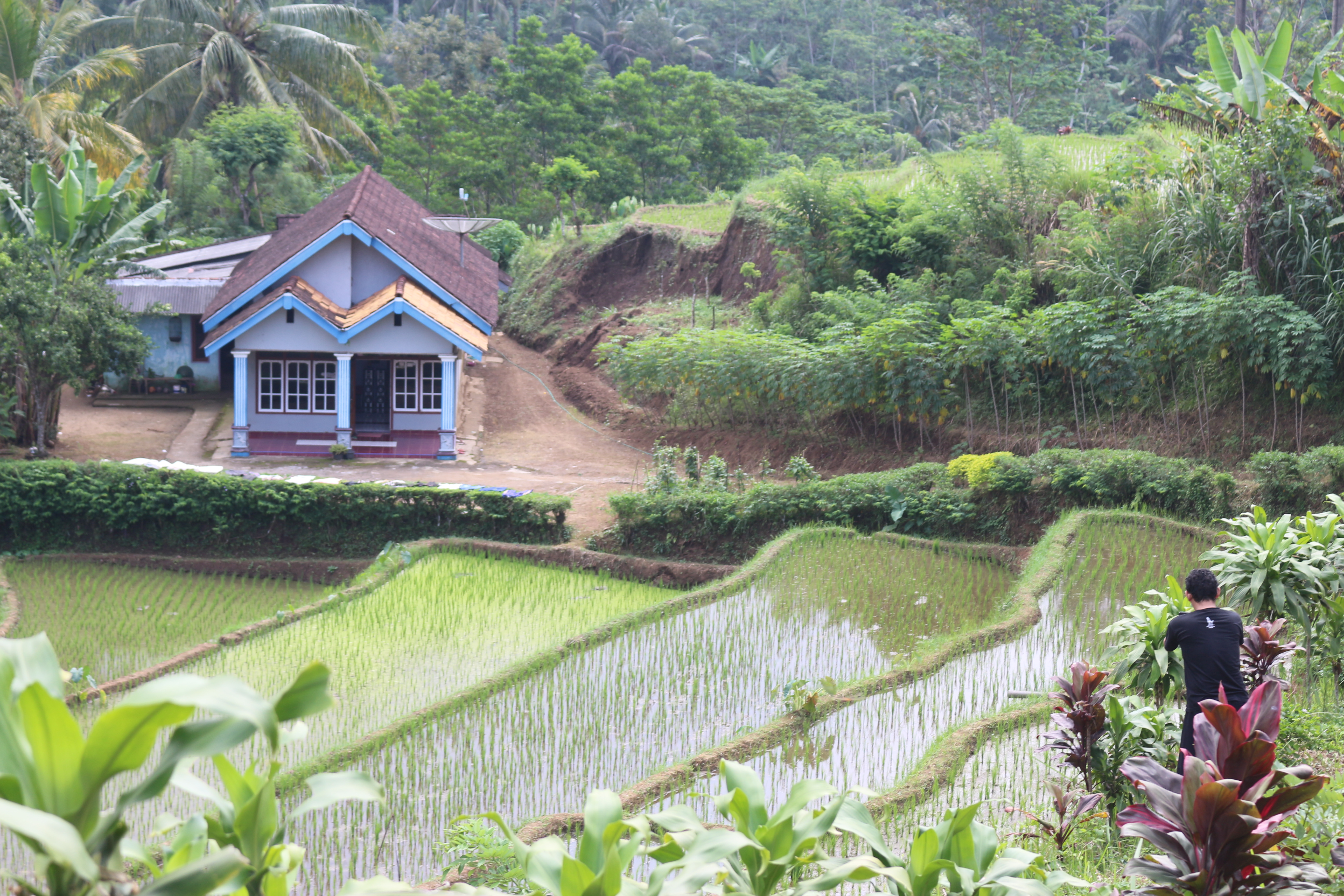 Spending Time in Blitar is Not About Filling an Itinerary, But About Filling the Heart.